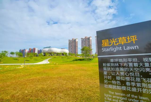 最新的深圳北站中心公园视频,深圳北站中心公园开放时间