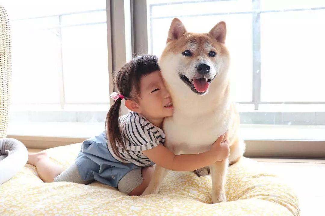 与狗相处的注意事项,与狗玩耍的忌讳