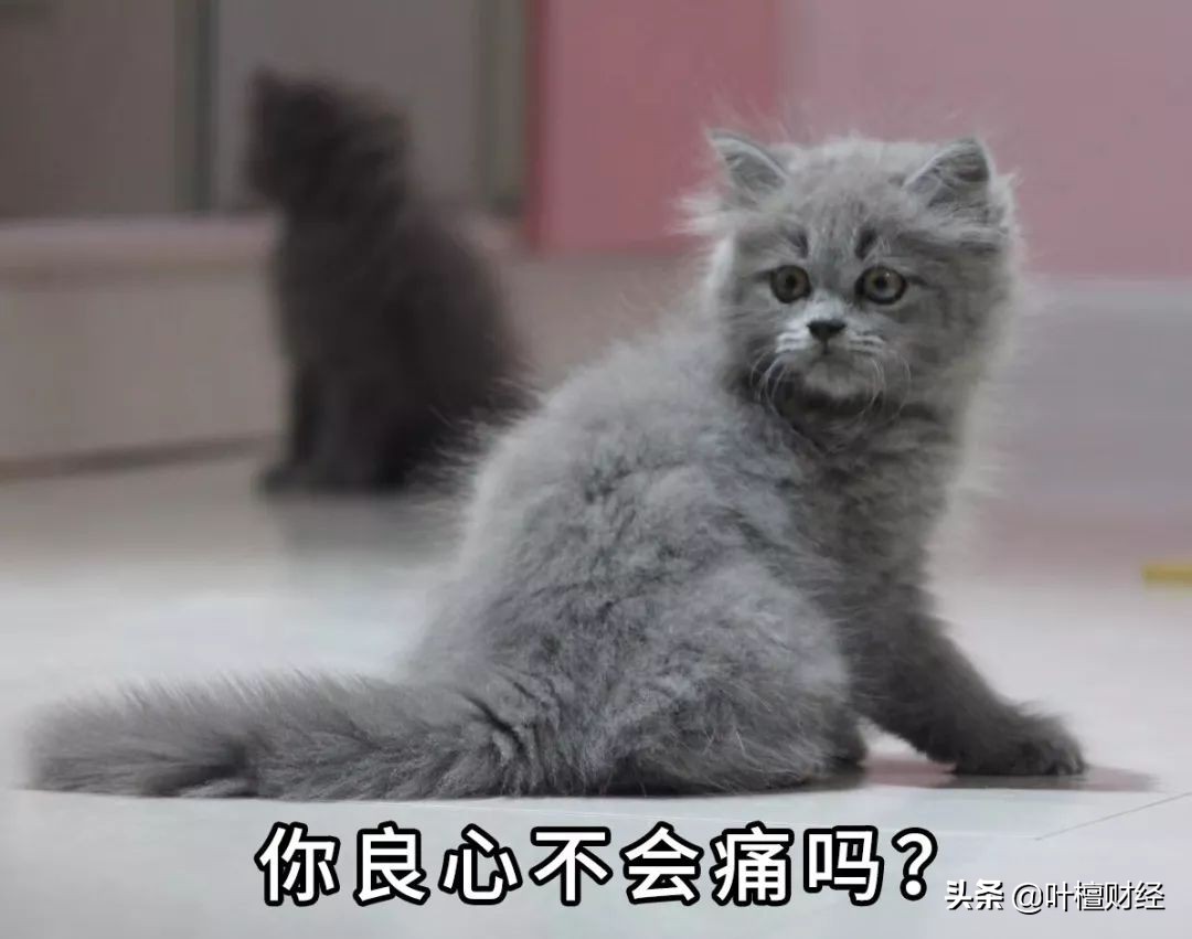 怒怼第三方催债,霸气回怼第三者