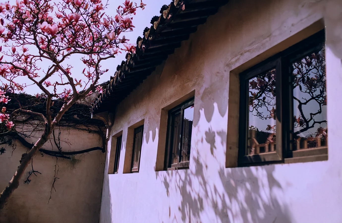 去苏州旅游的一连串旅游攻略,去苏州旅游攻略必备清单大全