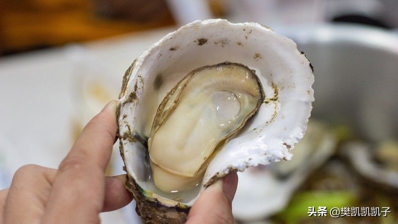 三亚大东海去哪吃,三亚旅游大东海经济实惠的地方