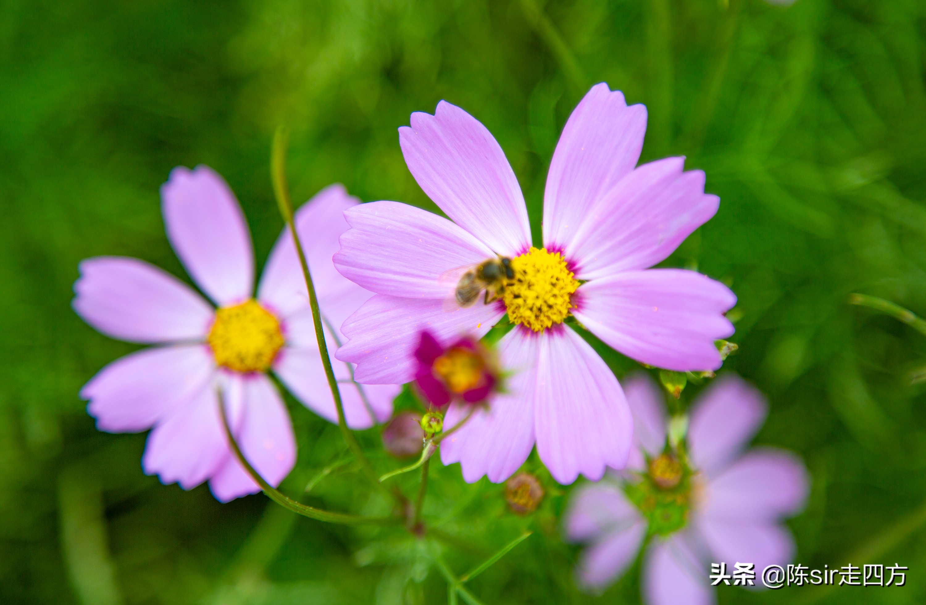 重庆到桐梓自驾游攻略路线,重庆到贵州桐梓三日游最佳路线图