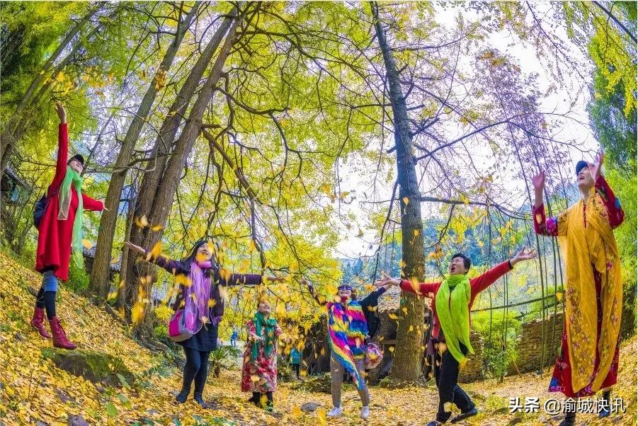 重庆无症状感染者最新情况,重庆无症状感染者在哪个区