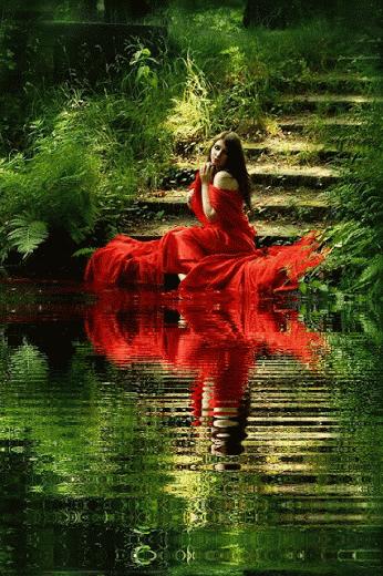 神秘的水中花,趣味神奇的水中花