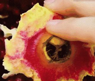 怎么正确剥水果皮,生活妙招剥水果