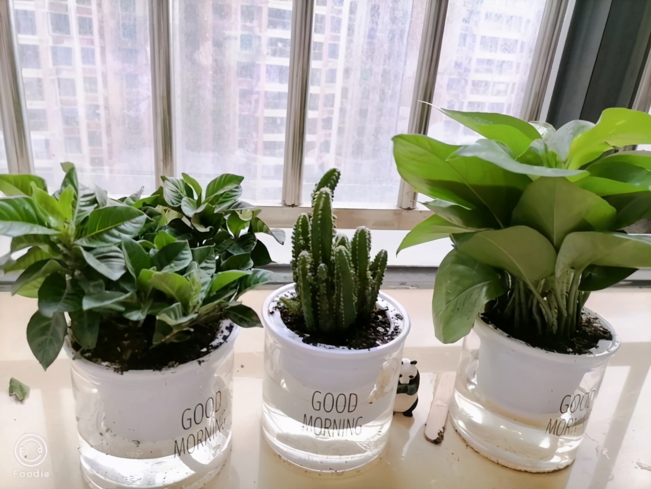 独居的那些事儿：我把性别改成了“男”，手术也只能自己签字