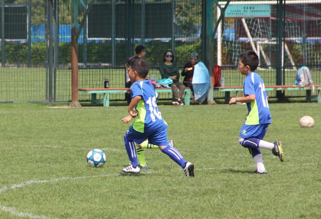 抢圈的作用,抢圈是什么