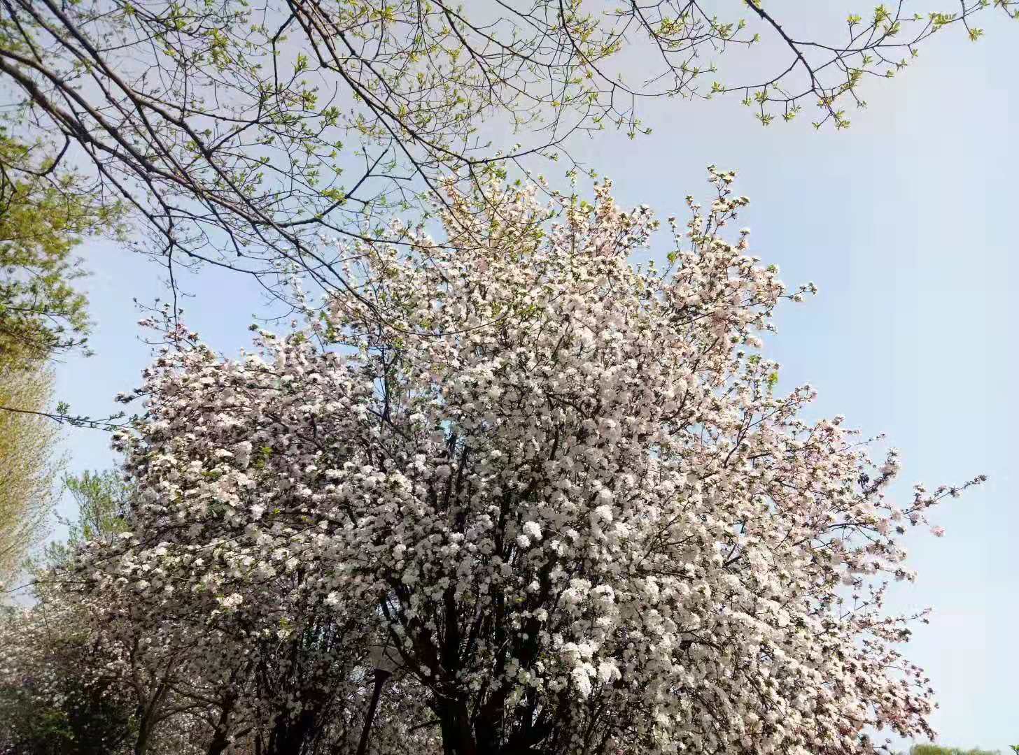 达活泉的春天图片,达活泉的秋景