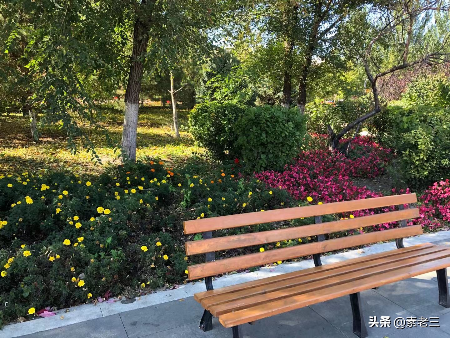 女作家去做保姆101集,女作家去做保姆最新篇920