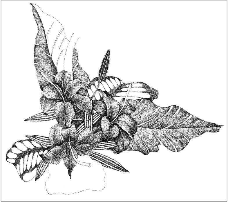 插画绘画教程纸绘,怎么画简单好看的插画教程