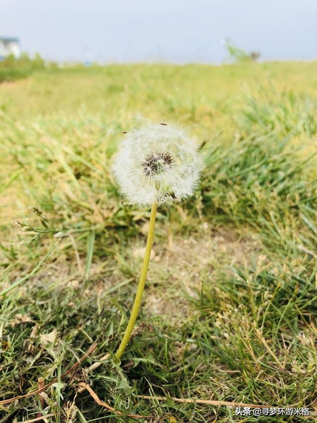 青岛的金沙滩和银沙滩哪个比较好,青岛金沙滩风景区简介