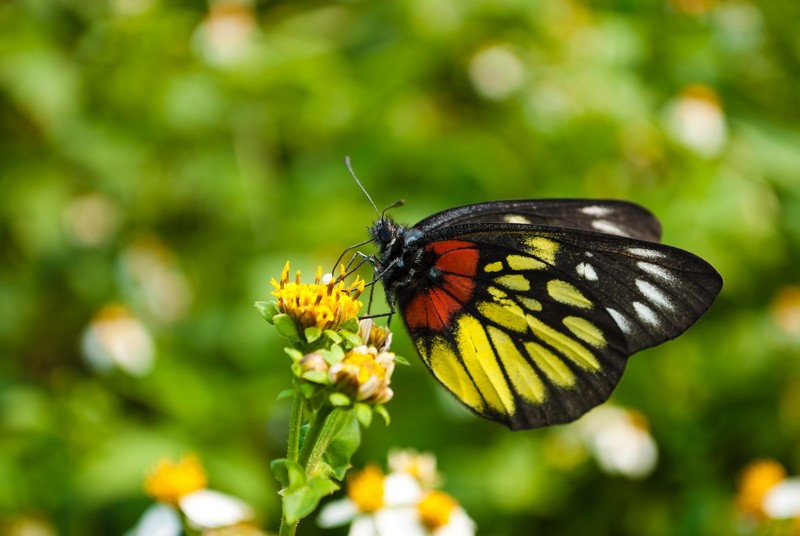 破阵子辛弃疾表达了作者什么感情,辛弃疾送别友人的片段