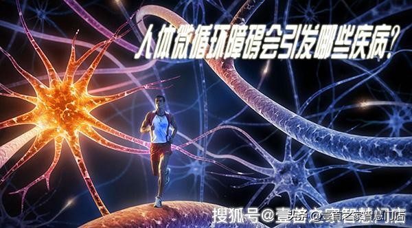 促进宫腔微循环排毒,微循环排毒