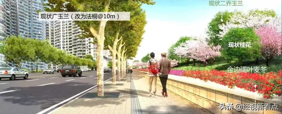 武汉最美环形公路,武汉最美大道之一高新大道