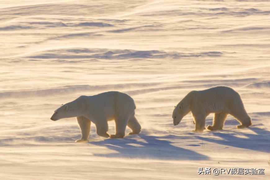 北美加拿大景点,北美有什么好玩的地方和景点