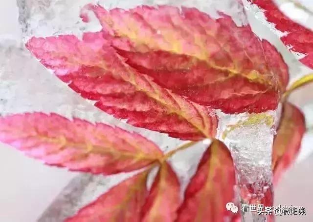 广西人丁最旺的地方,广西含硒最多的地方