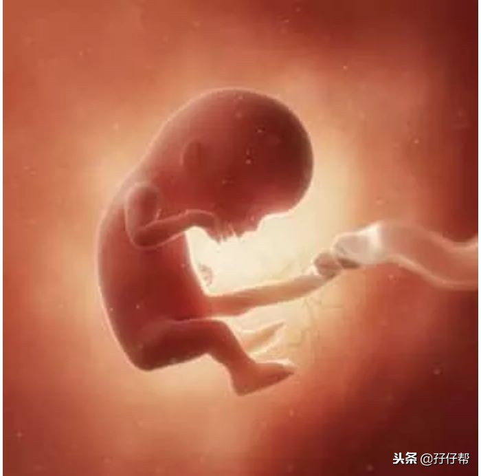 12周双胎,孕12周孕妈妈会有什么感觉