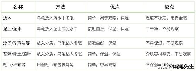 乌龟冬眠过冬小技巧图片,乌龟泥土冬眠法详细介绍