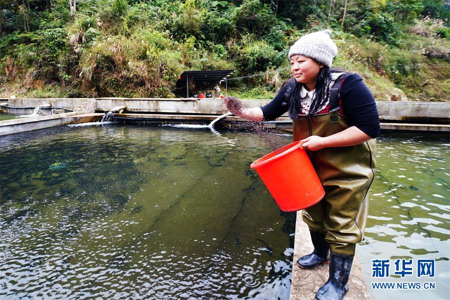 美人鱼白手起家,美人鱼创业