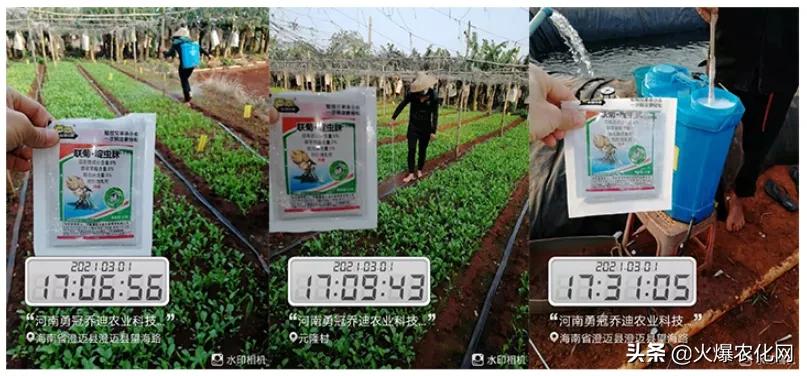 跳甲打甲,跳甲上午打还是晚上打好