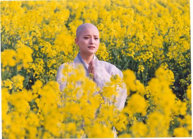 同为金庸小说，《倚天屠龙记》和《笑傲江湖》的峨眉派有何不同？