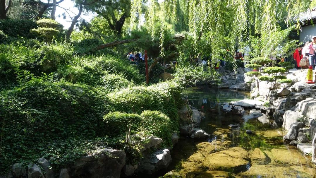 济南方特游玩攻略,去印象济南游玩日记