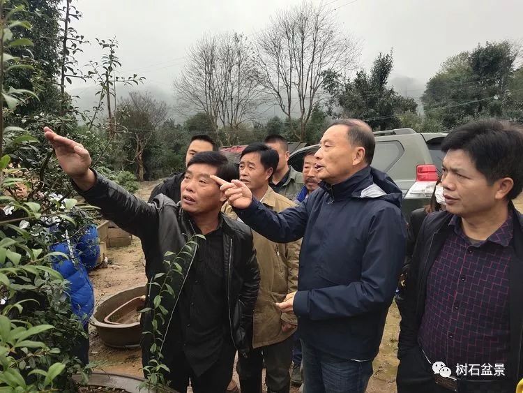 伟大使命复兴中国盆景艺术事业——2019中盆会大事回顾(下篇)