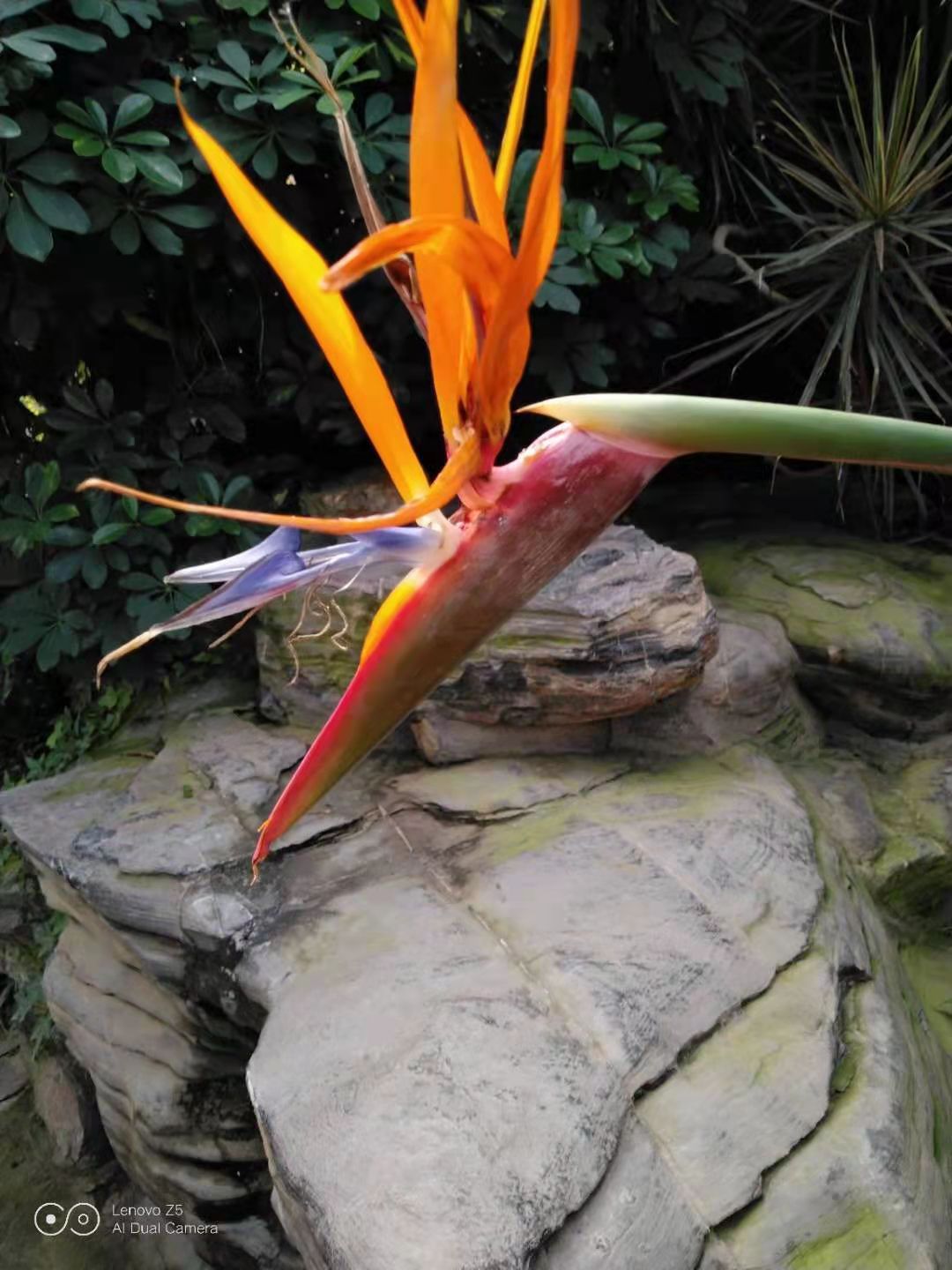 穿越人海拥抱你,穿越孤独拥抱你书籍