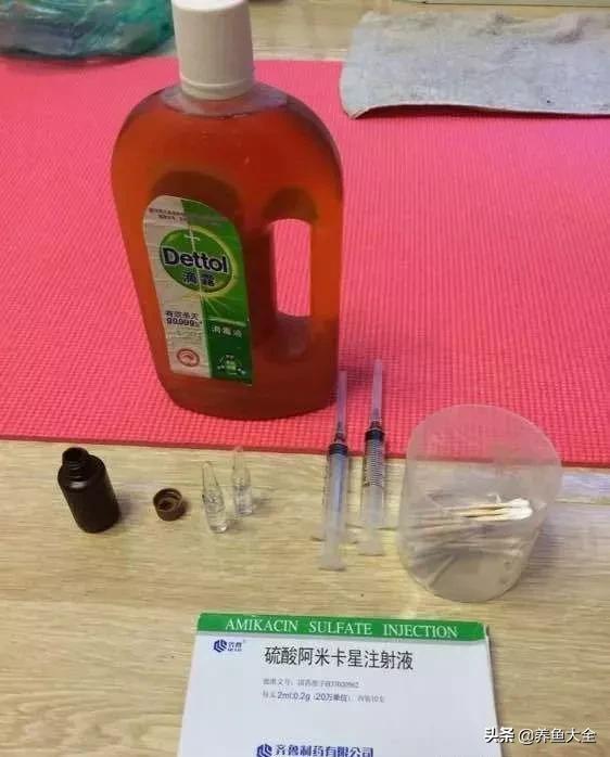 鱼穿孔病用什么药,鱼穿孔病的防治