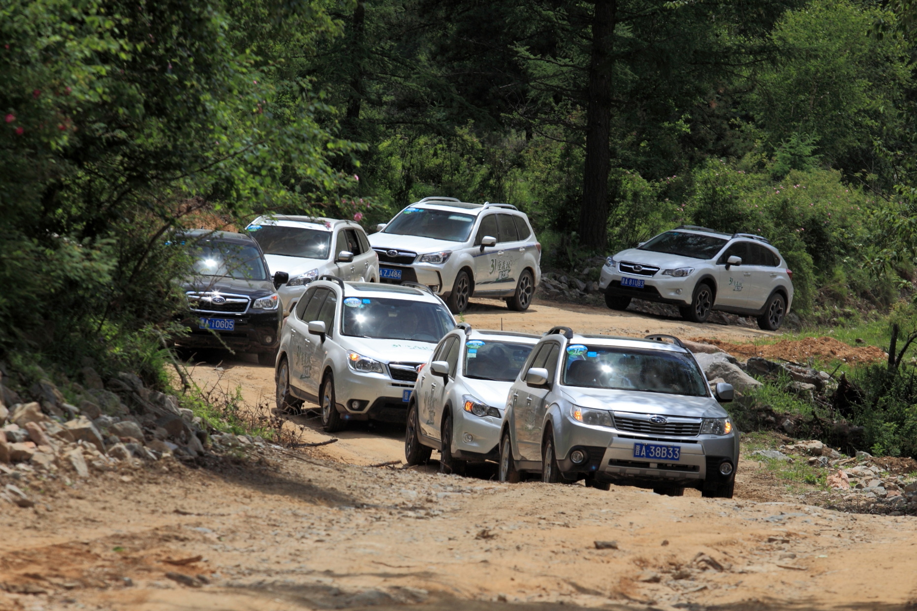 斯巴鲁是公认好车吗,都说斯巴鲁好为什么买的人少