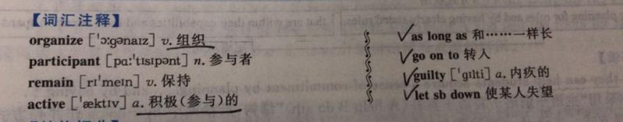 黄皮书需要手译本吗,黄皮书手译