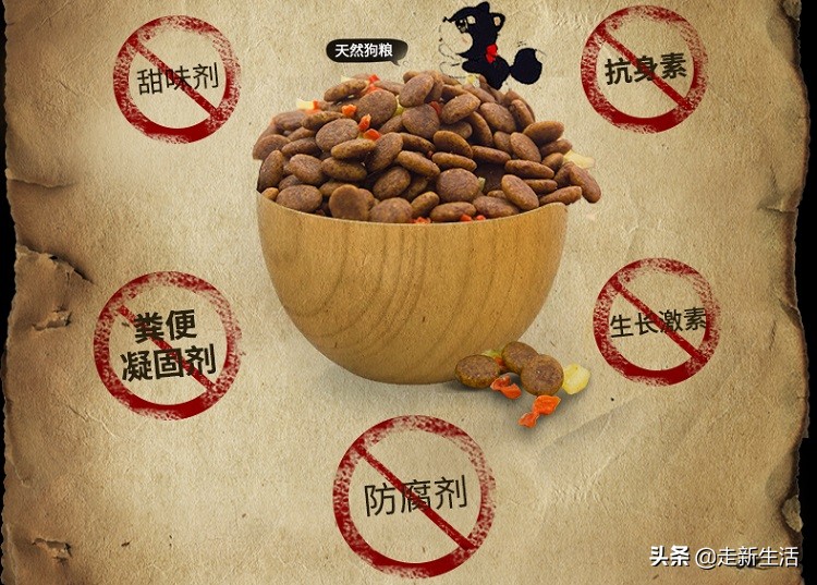 新手铲屎官要养狗要准备什么,新铲屎官养狗必备好物