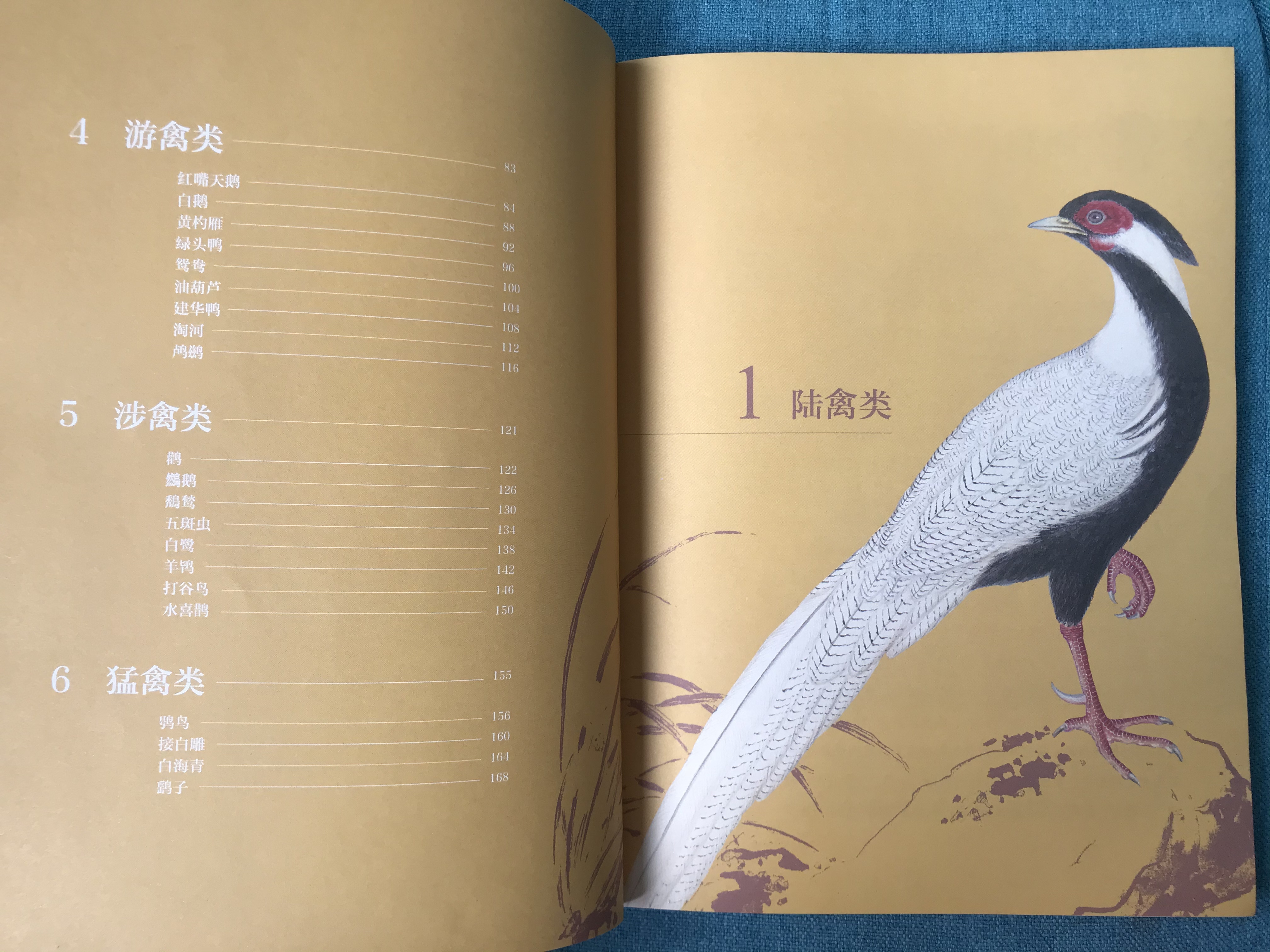 真正让曹操害怕的五位猛将将是谁,让曹操害怕的五大名将