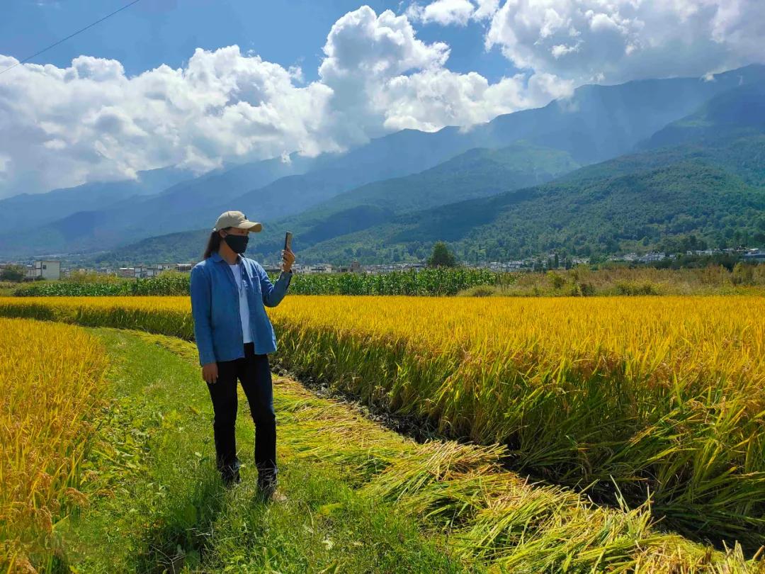 让农业回归原生态,呼唤传统农业回归