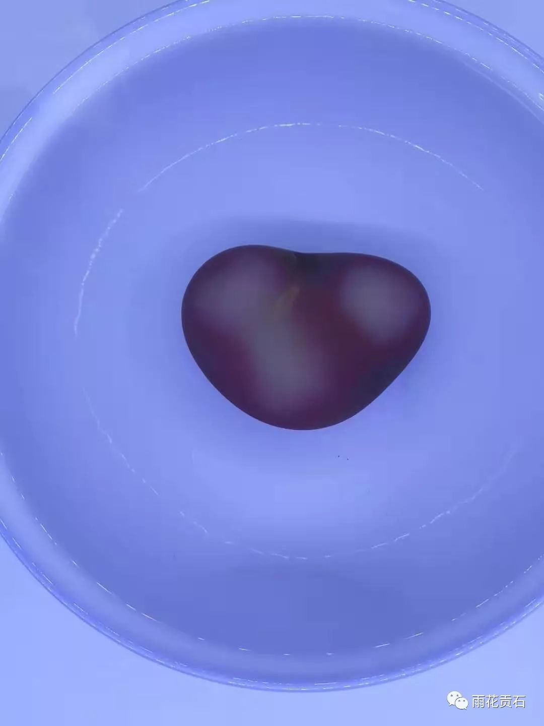 雨花石文化传播,弘扬南京雨花石文化