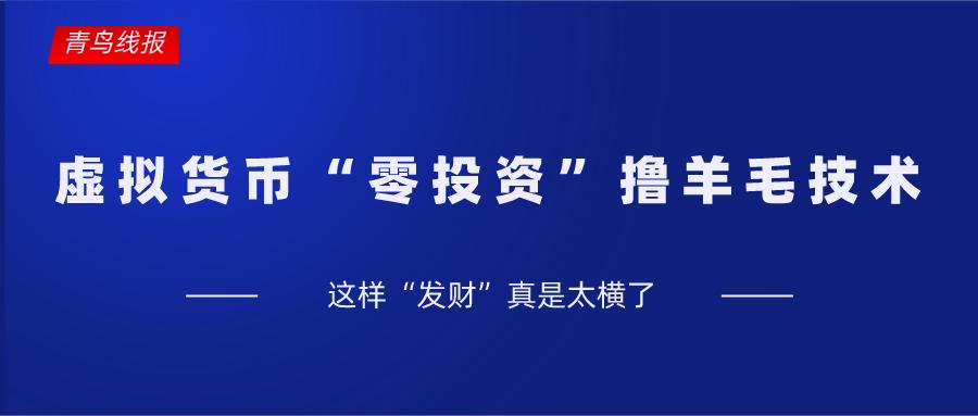 投资虚拟货币的真实经历,投资虚拟货币的技巧