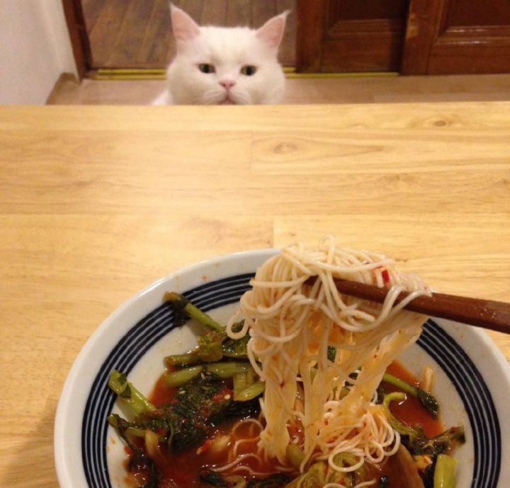 晚餐吃晚了怎么办,晚餐少吃的6种方法