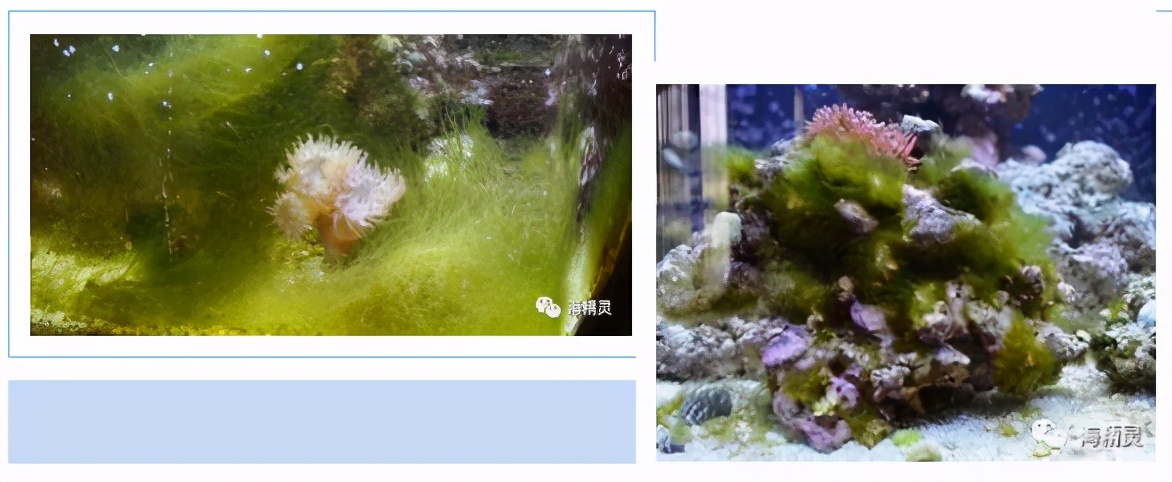 怎么才能从众人中脱颖而出,如何让自己从人群中脱颖而出