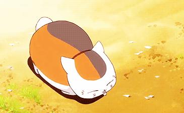 盘点二次元猫咪 (可爱二次元猫咪大全)