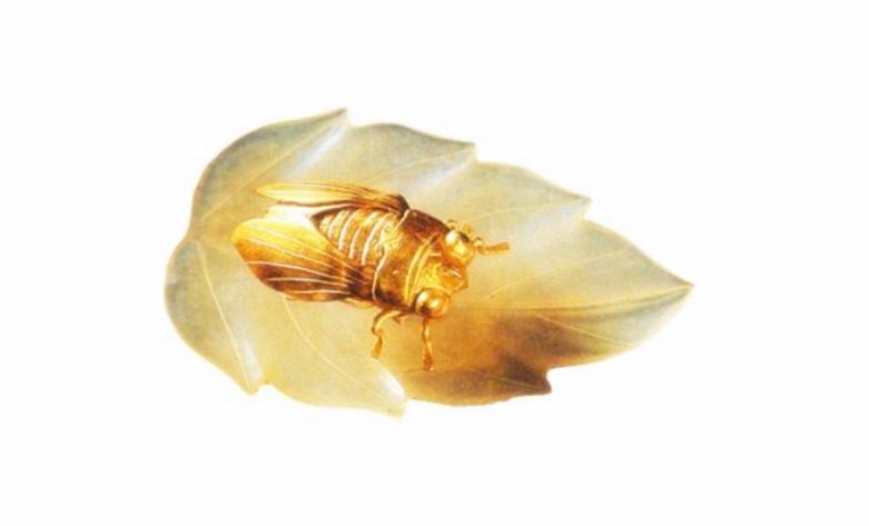 国宝级文物出土,国宝级文物金枝玉叶出土