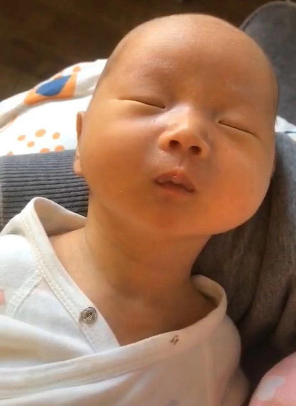 长颈鹿宝宝婴儿,天鹅脖婴儿