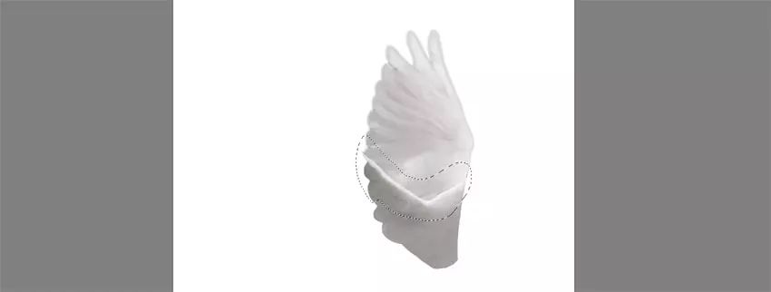 ps花仙子合成教程,ps合成狗狗教程