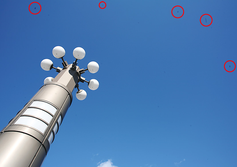 相机传感器上有黑点怎么处理,照片上有黑点是怎么回事