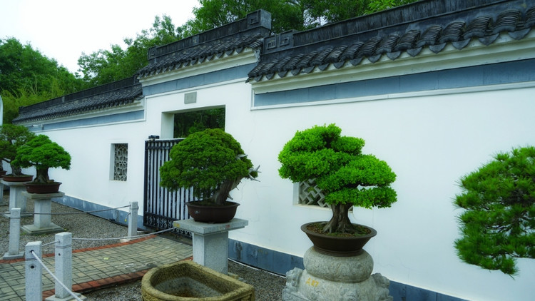 茅山宝盛园周边游玩,茅山宝盛园所有游乐设施