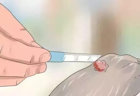 狗狗身上瘊子怎么去除,狗狗身上的斑点怎么去除