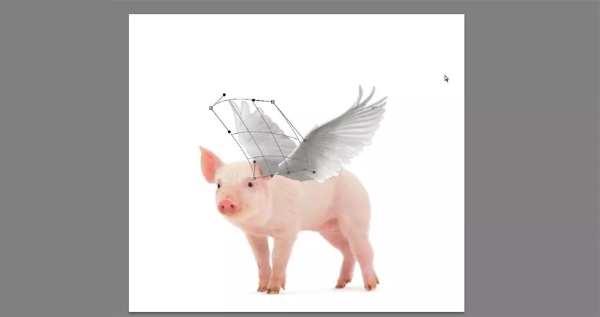 ps小猪怎么做,ps怎么合成驴子