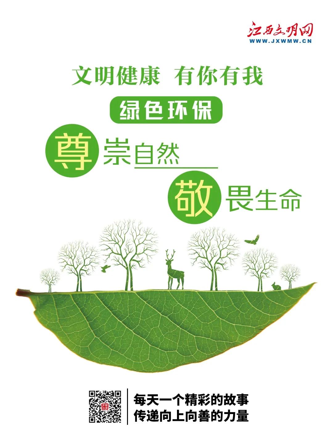 【警示】都是超速惹的“祸”！