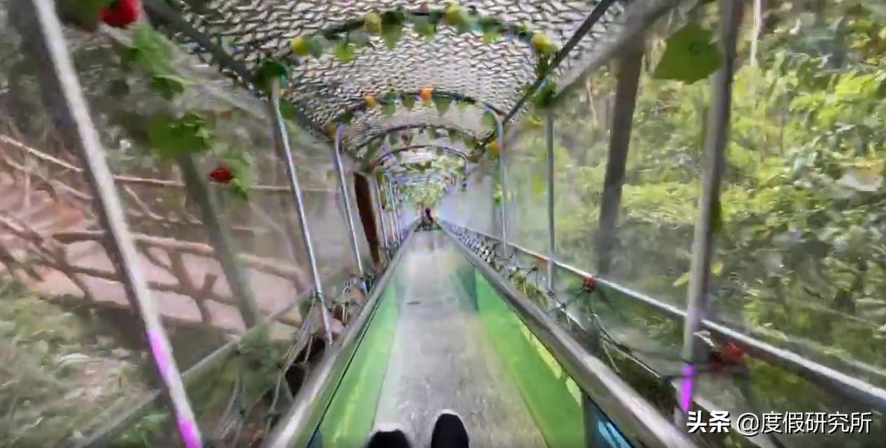 端午节去哪玩合适广州,端午广州三天游玩攻略