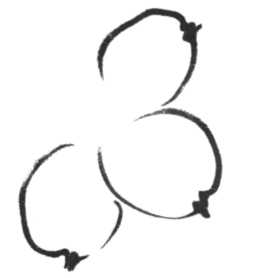 怎么画梅花和梅花树,写意画梅花的画法视频