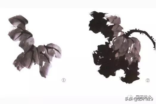 荷花的画法和步骤图解,最简单的荷花画法一学就会